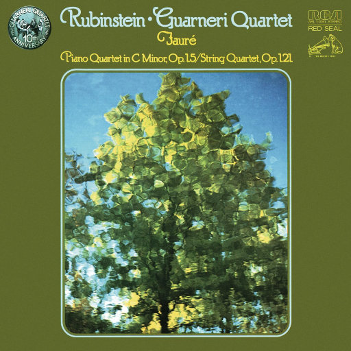 阳炎操母在线免费观看
